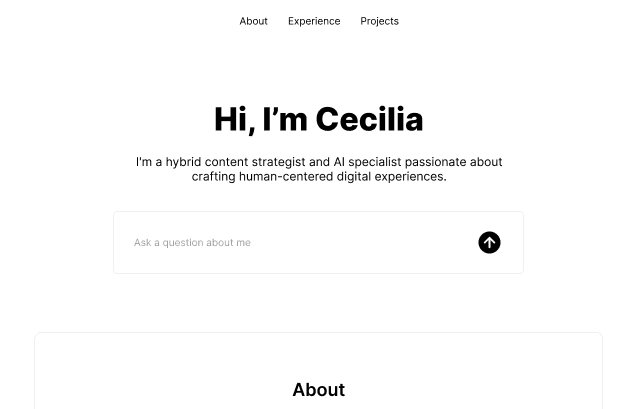 Professional Website 2.0 project